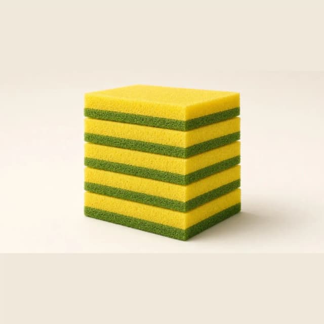 Lot de 10 éponges